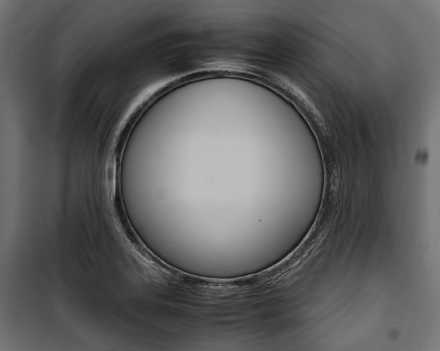 X0000100881323200806201138