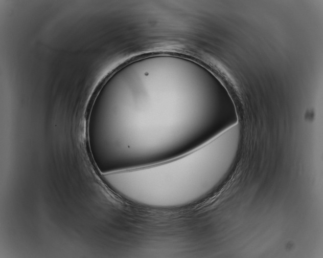 X0000100881324200806201138