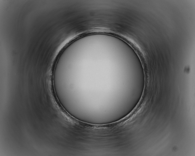 X0000100881325200806201138