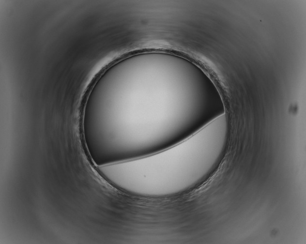 X0000100881326200806201138