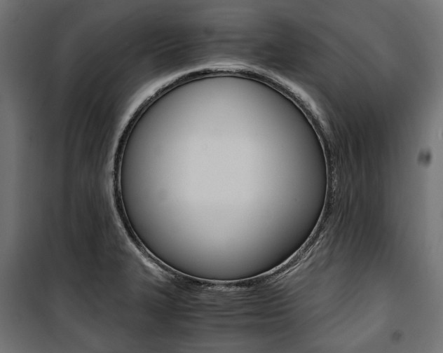 X0000100881327200806201138