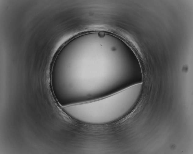 X0000100881328200806201138