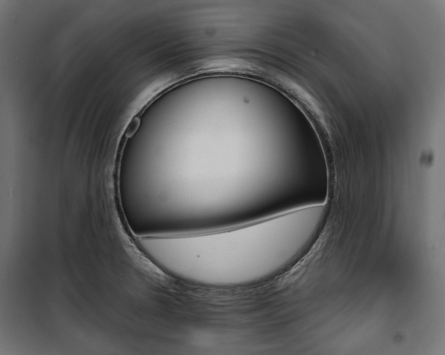 X0000100881330200806201138