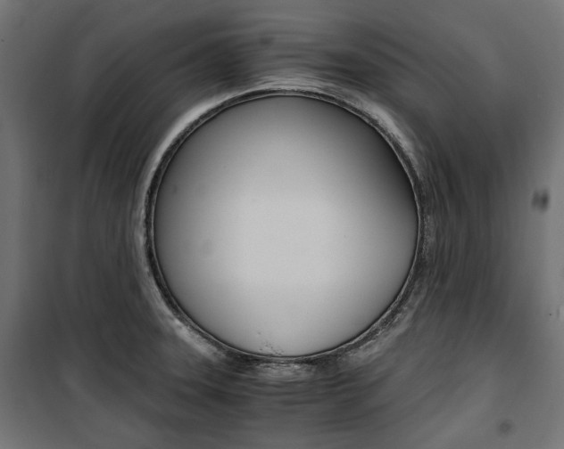 X0000100881331200806201138