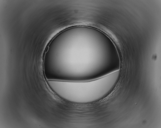X0000100881332200806201138