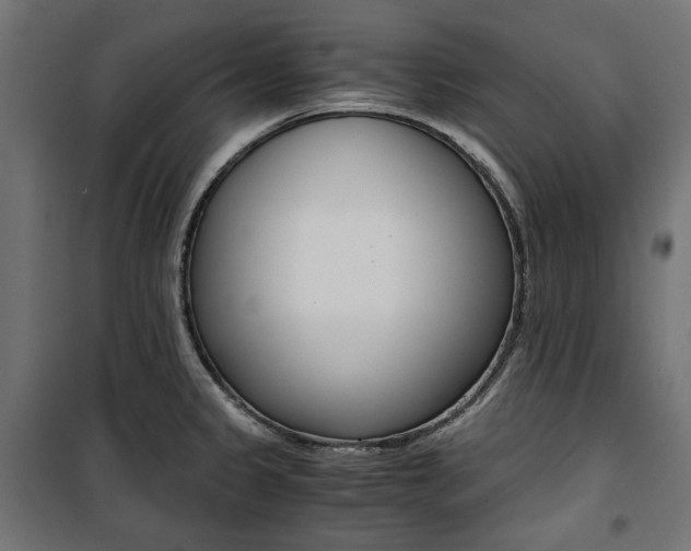 X0000100881333200806201138