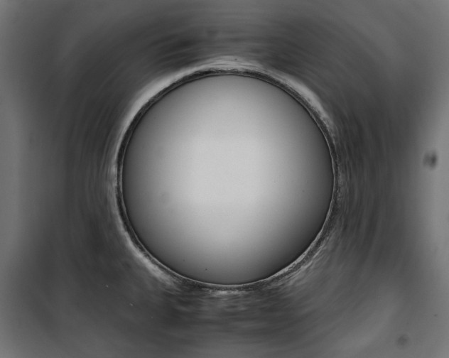X0000100881335200806201138