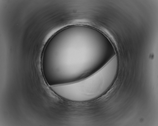 X0000100881336200806201138