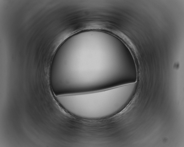 X0000100881337200806201138