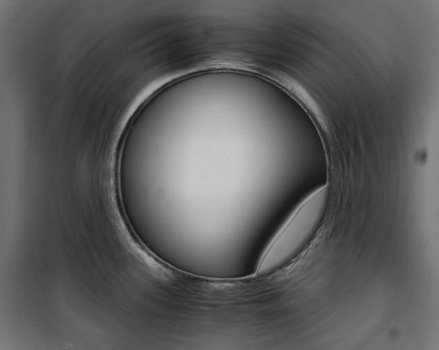 X0000100881339200806201138