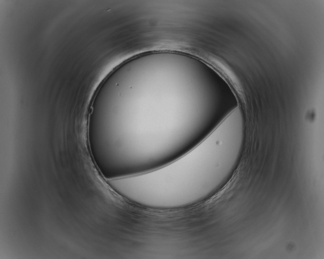 X0000100881340200806201138