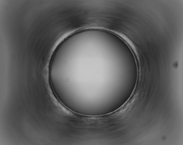 X0000100881341200806201138