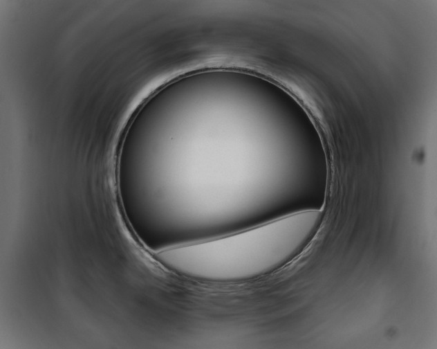 X0000100881342200806201138