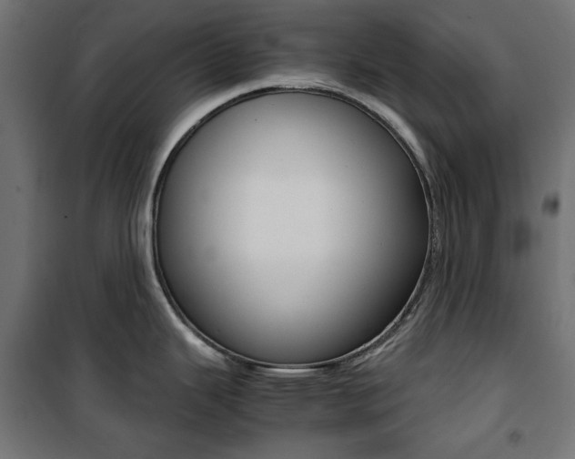 X0000100881343200806201138