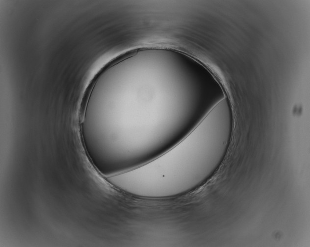X0000100881344200806201138