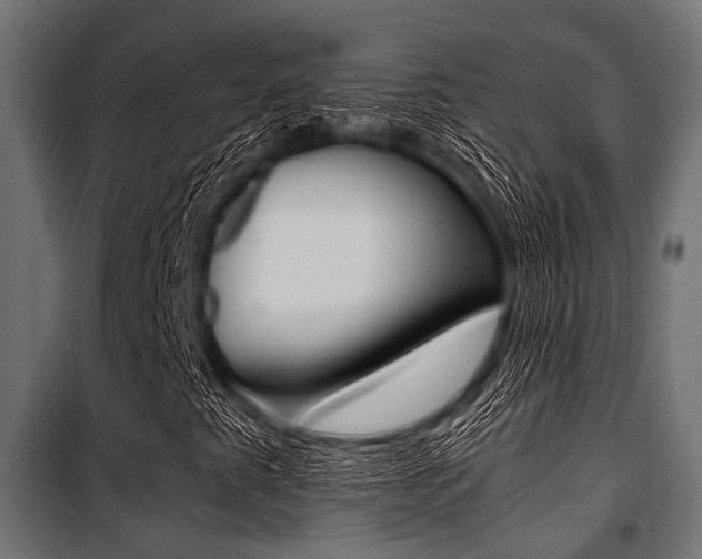 X0000100881345200806201137