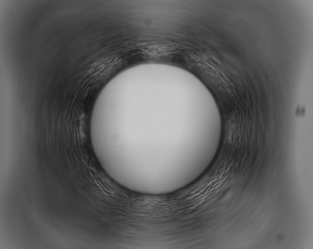 X0000100881346200806201137