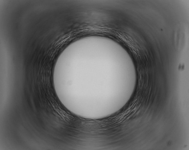 X0000100881348200806201137