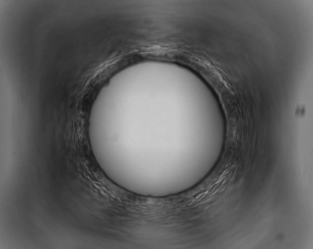 X0000100881350200806201137