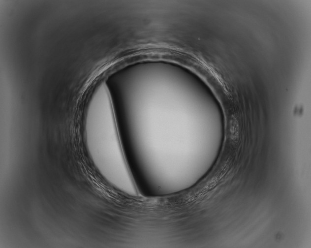X0000100881352200806201137