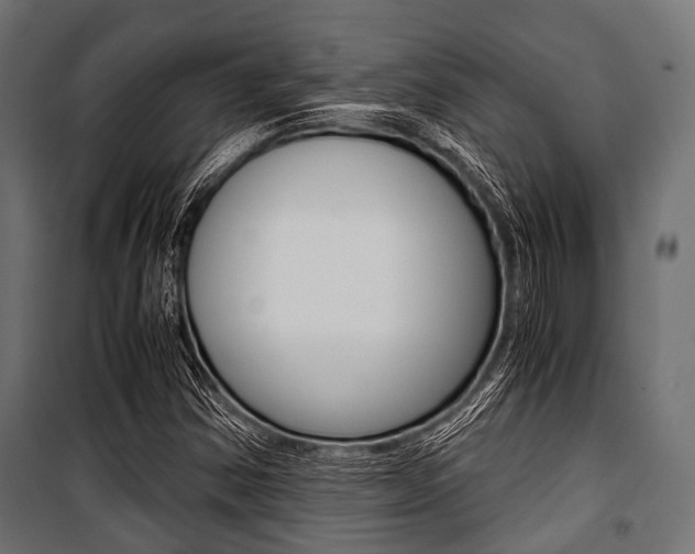 X0000100881354200806201137
