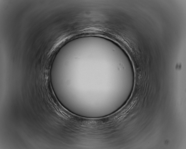 X0000100881355200806201137