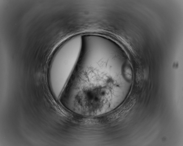 X0000100881356200806201137