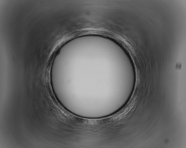 X0000100881357200806201137