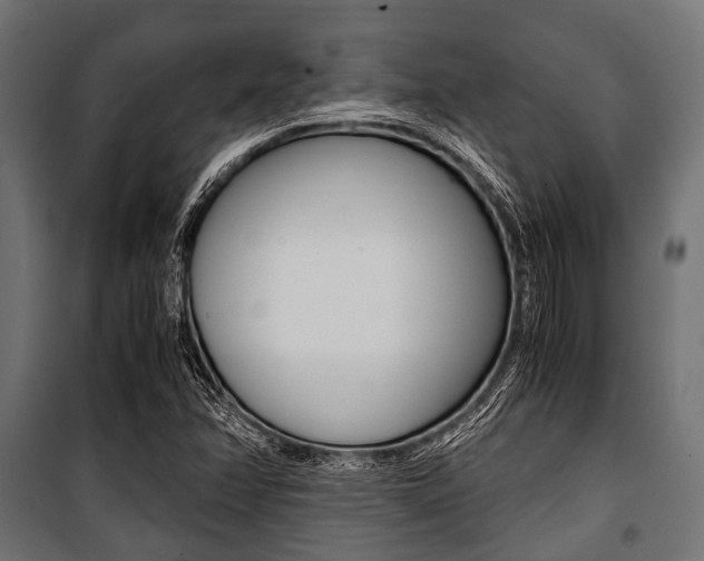 X0000100881358200806201137