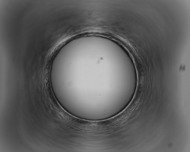 X0000100881359200806201137