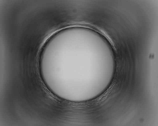 X0000100881360200806201137