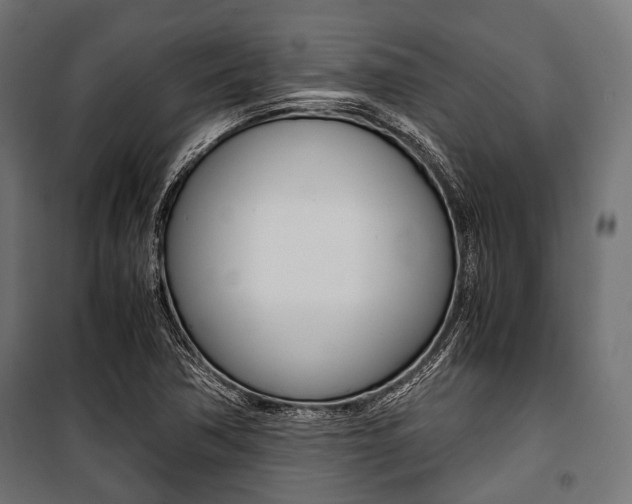 X0000100881362200806201137