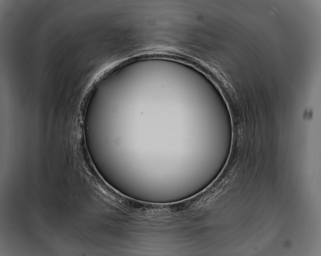 X0000100881363200806201137