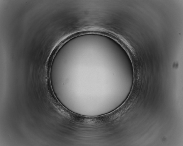 X0000100881364200806201137