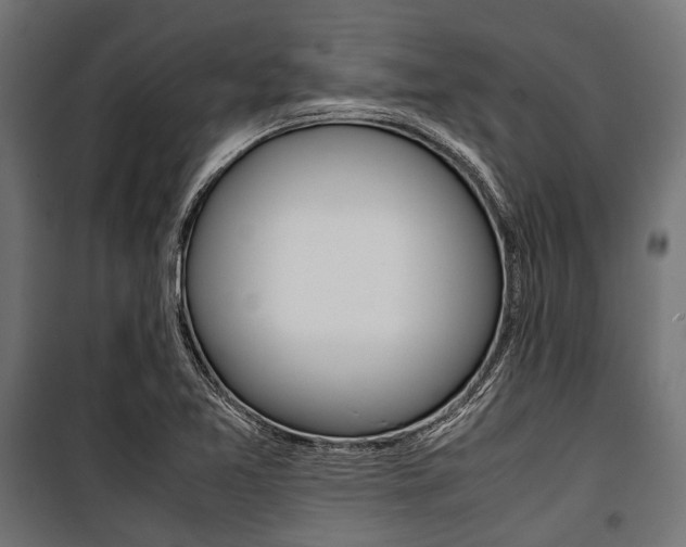 X0000100881365200806201137