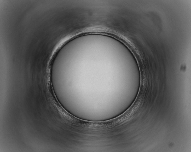 X0000100881366200806201137