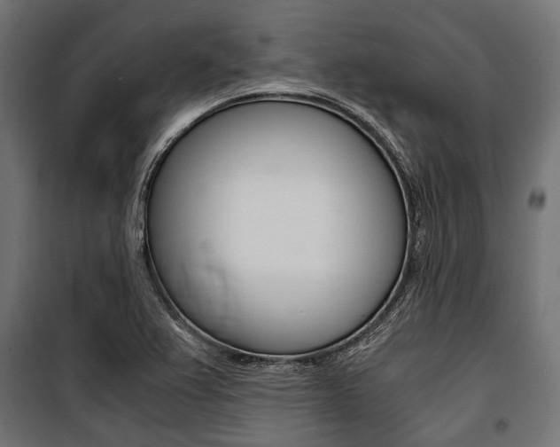 X0000100881367200806201137