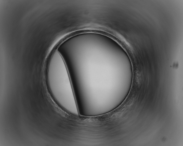 X0000100881368200806201137