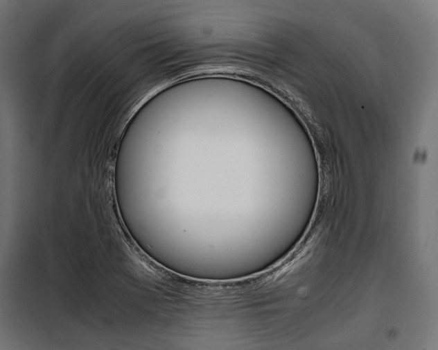 X0000100881369200806201137