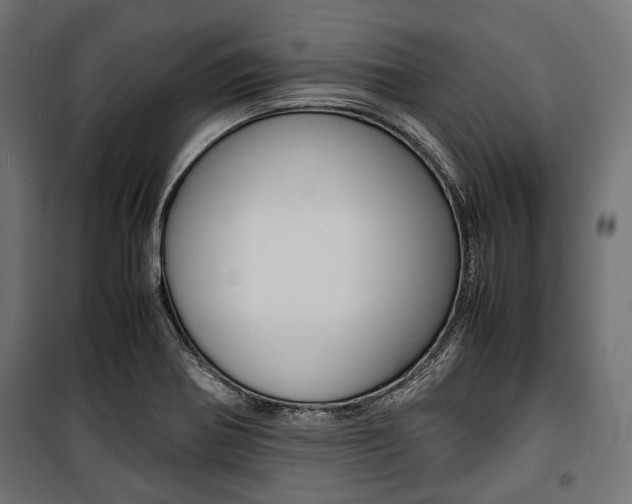 X0000100881370200806201137