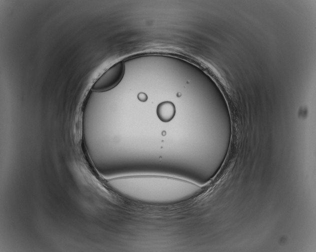 X0000100881371200806201137
