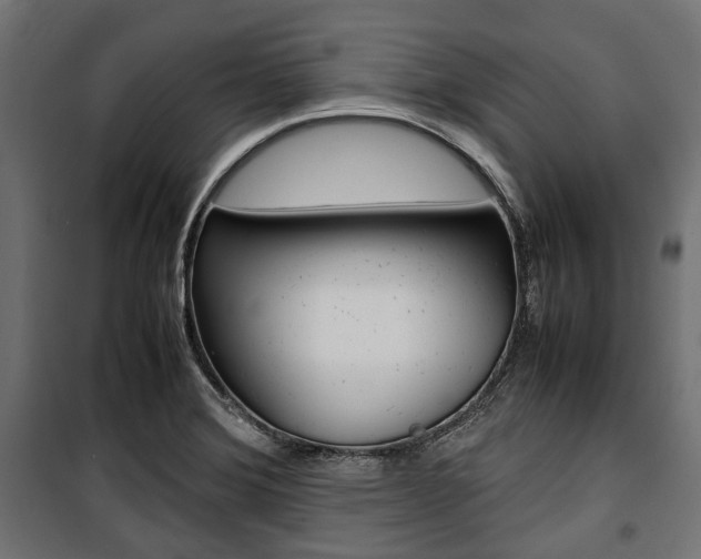X0000100881372200806201137