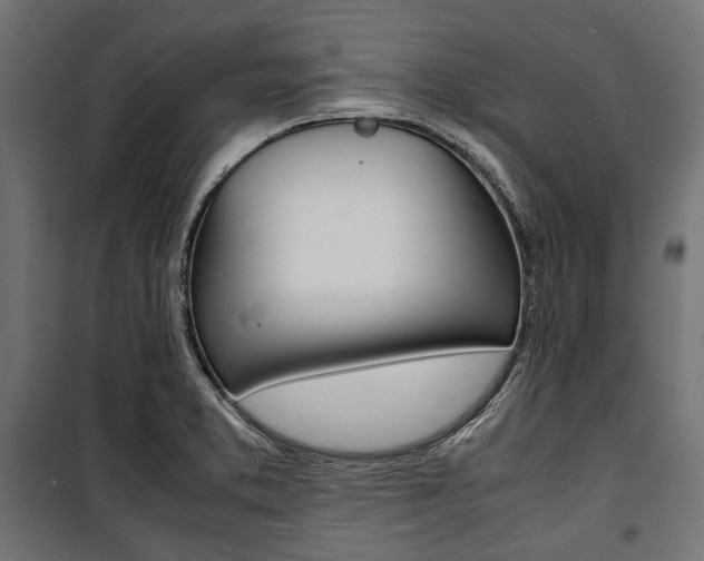 X0000100881373200806201137