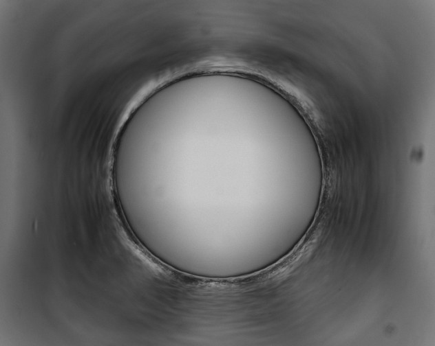 X0000100881374200806201137