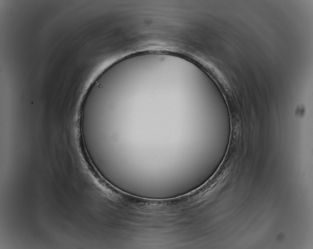 X0000100881375200806201137