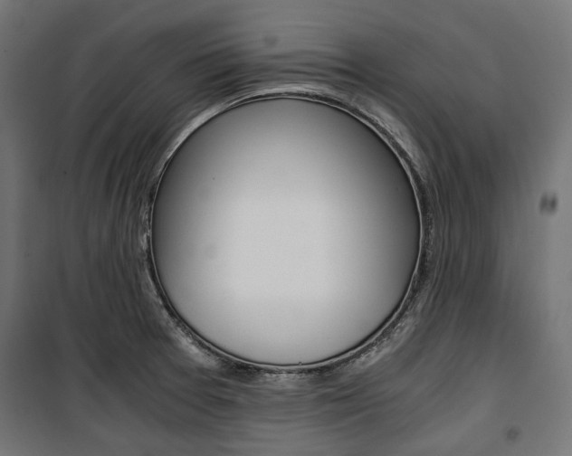 X0000100881377200806201137