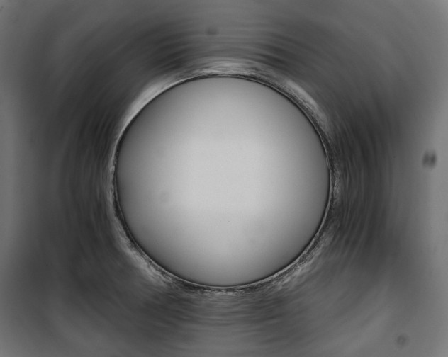 X0000100881378200806201137