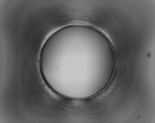 X0000100881379200806201137