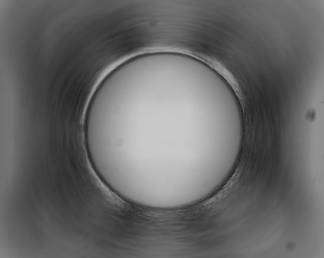 X0000100881380200806201137
