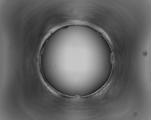 X0000100881381200806201137